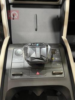BYD QIN L DM-i
